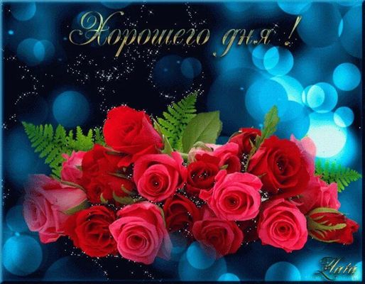 Открытка «Пожелание»: Хорошего дня! Красивый букет роз для позитива. Тэги: женщина, девушка, красивая, позитив…