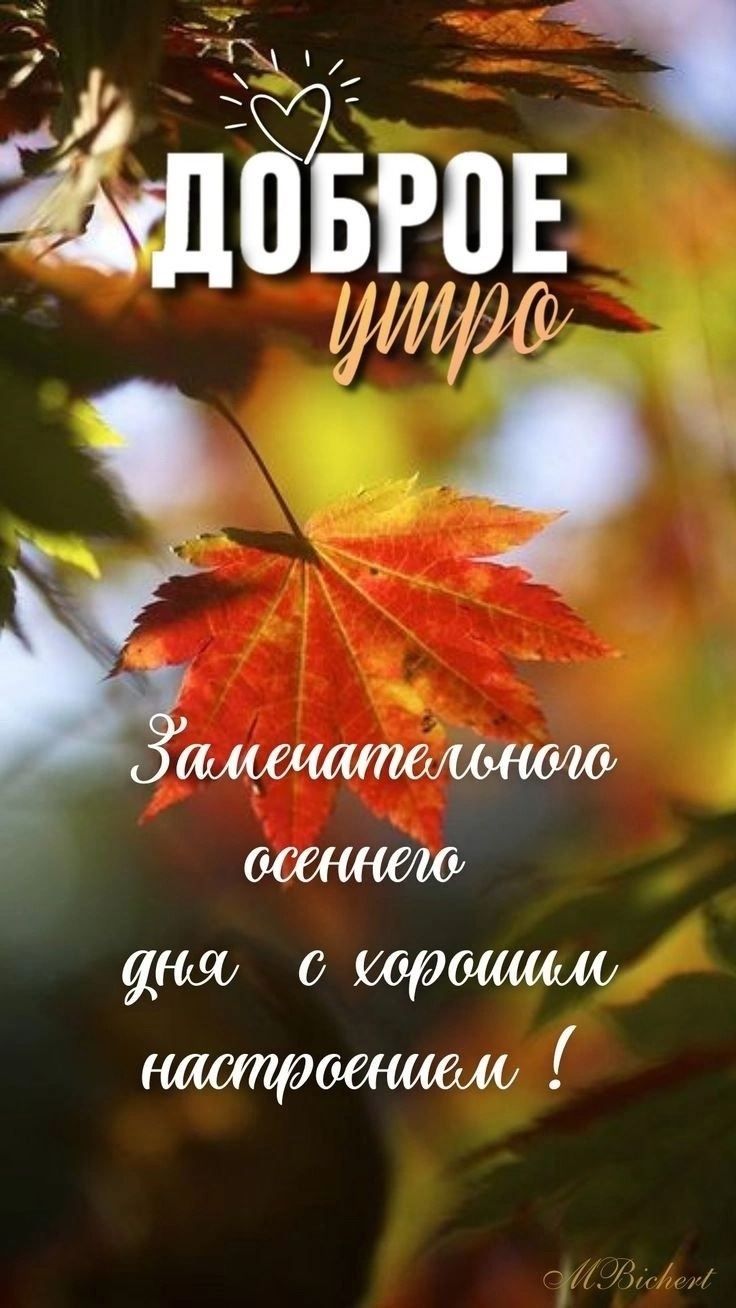 Открытка «Пожелание»: Доброе утро: осеннее пожелание для хорошего дня. Тэги: улыбка, утро, красивая, позитив, радость…