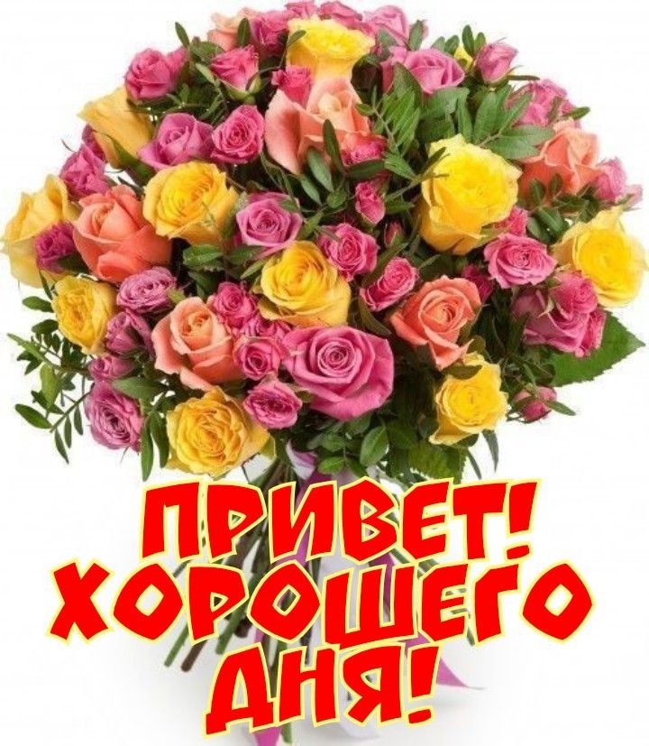 Открытка «Пожелание»: Привет! Красивый букет роз для хорошего дня. Тэги: улыбка, друг, подруга, женщина, красивая…