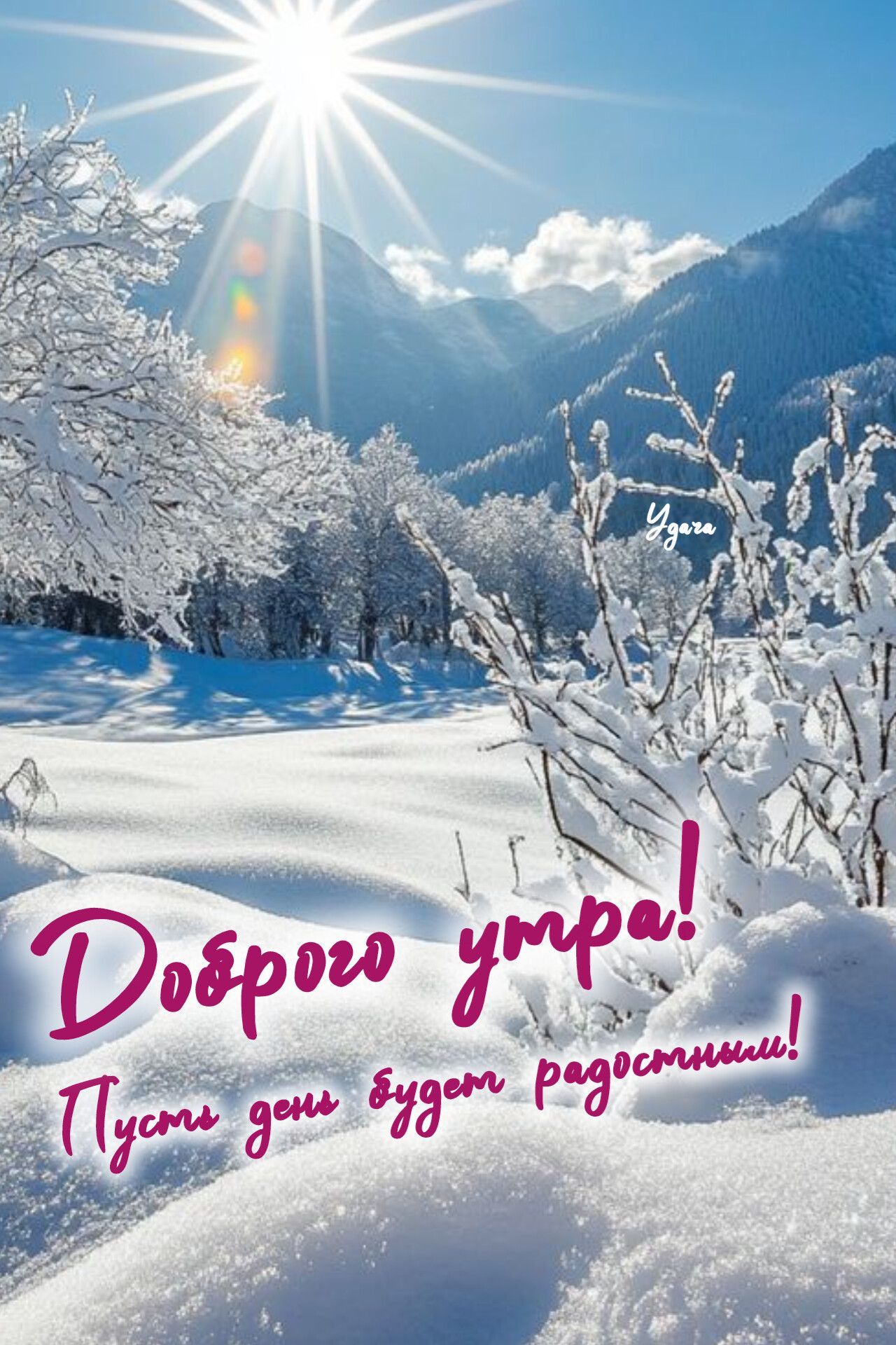 Открытка «Пожелание»: Доброе утро! Радостный зимний пейзаж. Тэги: утро, красивая, позитив, радость, зима, дерево…