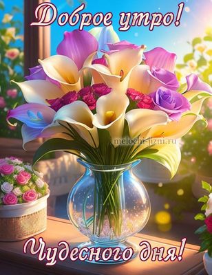 Открытка «Пожелание»: Доброе утро! Чудесный день и красивый букет. Тэги: улыбка, утро, красивая, позитив, радость…