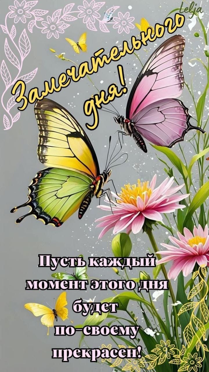 Открытка «Добрый день»: Замечательного дня! Позитивная открытка с бабочками. Тэги: пожелание, радость, надпись, день…