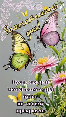 Открытка «Добрый день»: Замечательного дня! Позитивная открытка с бабочками. Тэги: Добрый день и добрые пожелания…