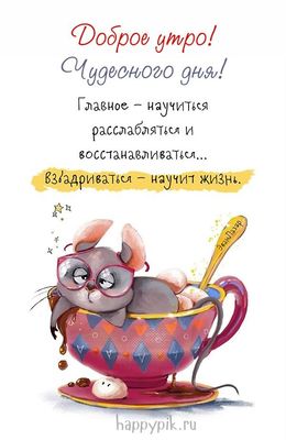 Открытка «Животное»: Доброе утро! Чудесного дня и мудрого позитива!. Тэги: пожелание, юмор, улыбка, кофе, позитив…