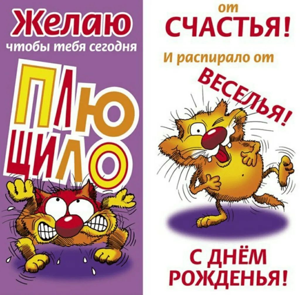 Открытка «Кот»: С Днём Рожденья! Желаю счастья и веселья!. Тэги: животное, пожелание, юмор, прикольная, смешная…