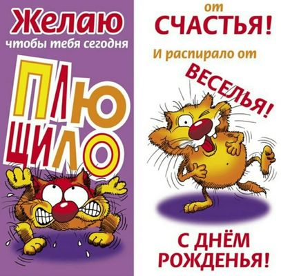 Открытка «Кот»: С Днём Рожденья! Желаю счастья и веселья!. Тэги: животное, пожелание, юмор, прикольная, смешная…