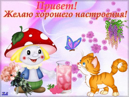 Открытка «Кот»: Привет! Позитив и хорошее настроение. Тэги: животное, пожелание, улыбка, красивая, позитив, радость…