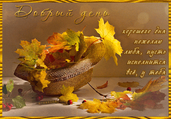 Открытка «Хорошего дня»: Добрый день: осенние пожелания и позитив. Тэги: Добрый день, Добрый день и добрые пожелания…