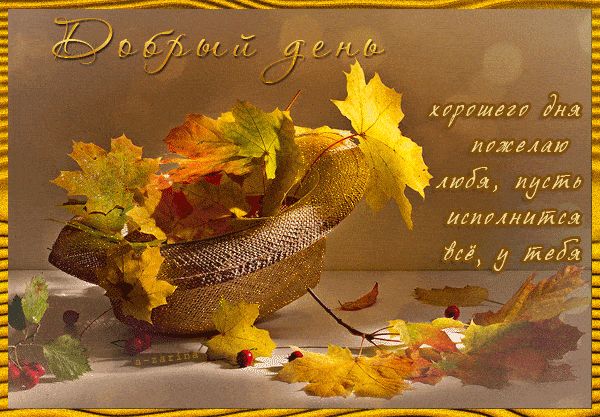 Открытка «Хорошего дня»: Добрый день: осенние пожелания и позитив. Тэги: Добрый день, Добрый день и добрые пожелания…