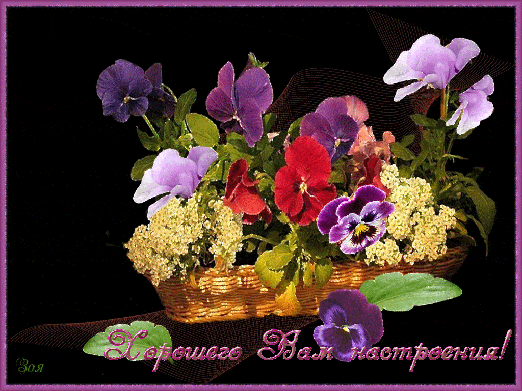 Открытка «Пожелание»: Открытка: Хорошего настроения! Яркий букет цветов. Тэги: улыбка, женщина, красивая, позитив…