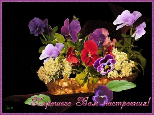 Открытка «Пожелание»: Открытка: Хорошего настроения! Яркий букет цветов. Тэги: улыбка, женщина, красивая, позитив…