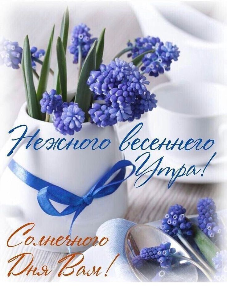 Открытка «Пожелание»: Нежного весеннего утра и солнечного дня!. Тэги: утро, друг, красивая, позитив, радость, цветок…