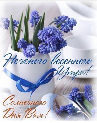 Открытка «Пожелание»: Нежного весеннего утра и солнечного дня!. Тэги: утро, друг, красивая, позитив, радость, цветок…