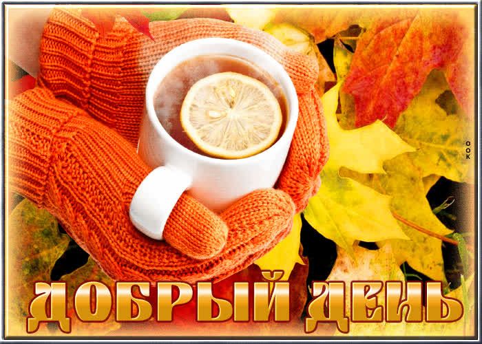 Открытка «Пожелание»: Добрый день! Уют и тепло осеннего дня с чаем.. Тэги: красивая, кофе, позитив, радость, добрый д…