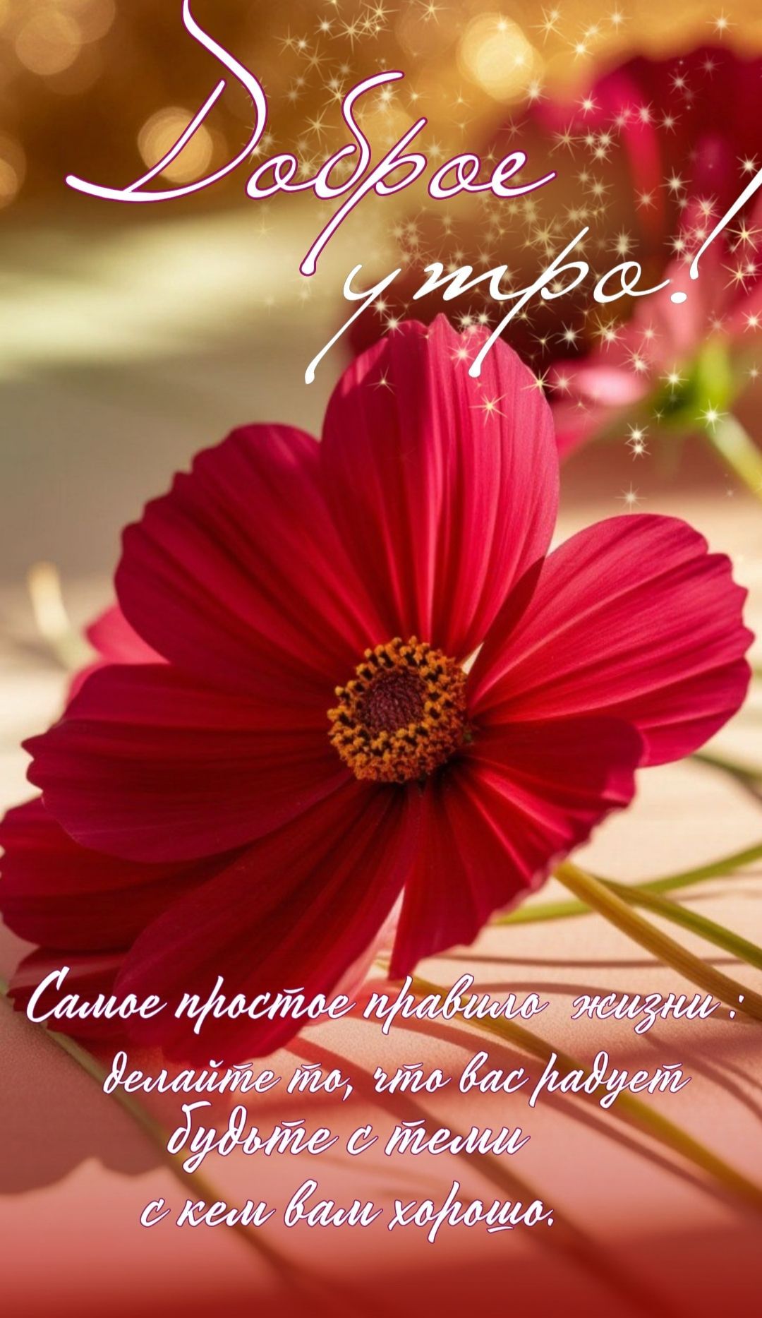 Открытка «Пожелание»: Доброе утро! Яркий цветок и позитивное пожелание. Тэги: улыбка, утро, красивая, позитив, радость…