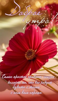 Открытка «Пожелание»: Доброе утро! Яркий цветок и позитивное пожелание. Тэги: улыбка, утро, красивая, позитив, радость…