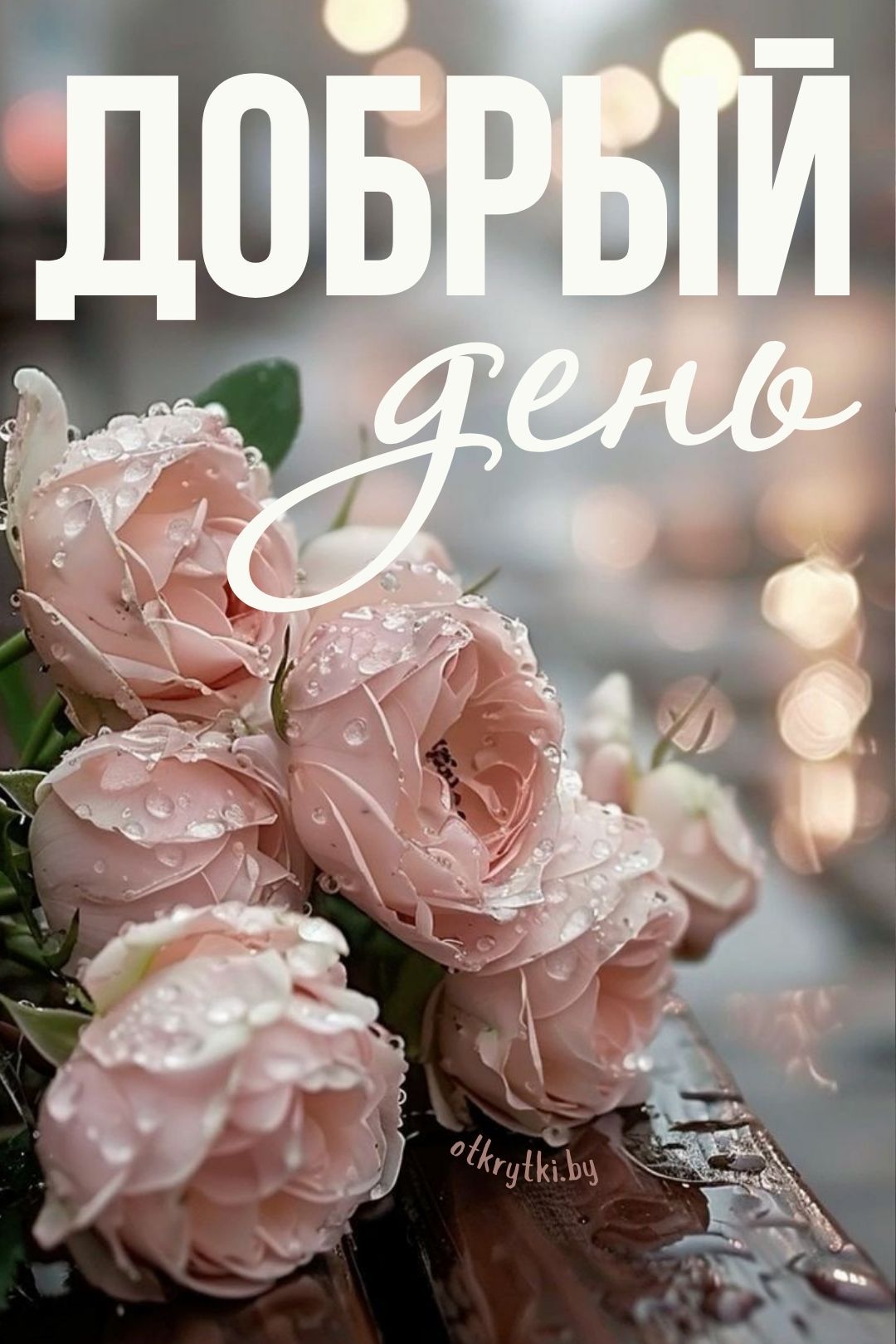 Открытка «Пожелание»: Добрый день: нежные розы с каплями росы. Тэги: красивая, позитив, радость, добрый день, цветок…