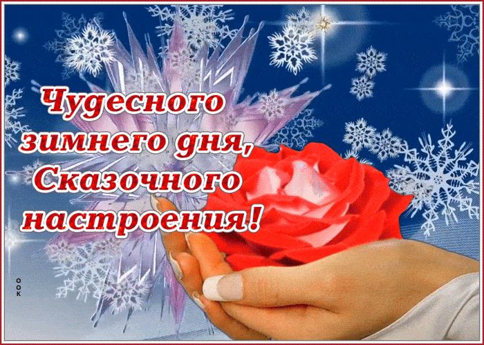 Открытка «Пожелание»: Чудесного зимнего дня и сказочного настроения!. Тэги: красивая, позитив, радость, цветок…
