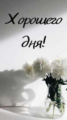 Открытка «Пожелание»: Хорошего дня! Красивая открытка с цветами. Тэги: улыбка, утро, позитив, радость, цветок, настро…