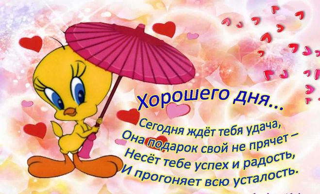 Открытка «Животное»: Хорошего дня! Милая открытка с удачей и радостью. Тэги: пожелание, улыбка, подруга, женщина…