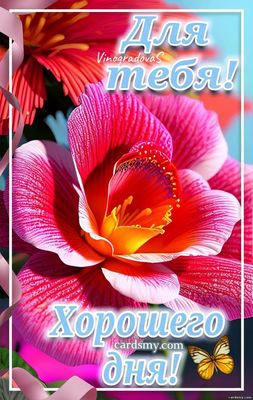 Открытка «Хорошего дня»: Для тебя! Красивый цветок и хороший день. Тэги: пожелание, друг, подруга, женщина, красивая…