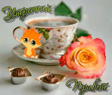 Открытка «Кот»: Утренний Привет: котик, кофе и роза. Тэги: пожелание, улыбка, утро, красивая, кофе, позитив, радость…