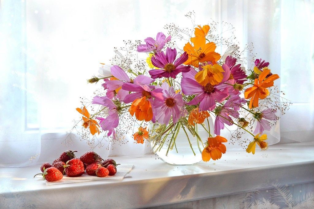 Открытка «Красивая»: Яркий букет цветов и спелая клубника. Тэги: позитив, радость, цветок, окно, настроение, нежная…