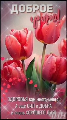 Открытка «Пожелание»: Доброе утро! Яркие тюльпаны и пожелания дня. Тэги: утро, красивая, позитив, радость, сердце…