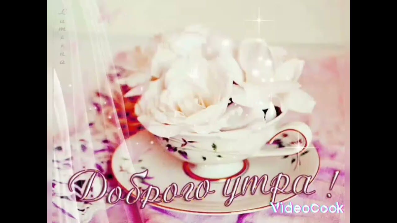 Открытка «Пожелание»: Красивое Доброе утро: открытка с цветами. Тэги: улыбка, утро, красивая, позитив, радость, цветок…