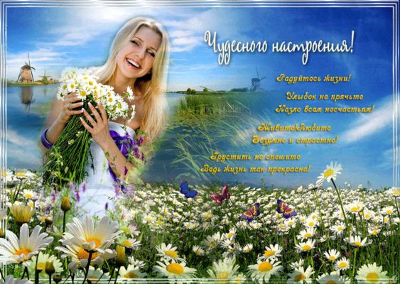 Открытка «Добрый день»: Открытка чудесное настроение весна с ромашками и девушка. Тэги: Добрый день и добрые пожелания…