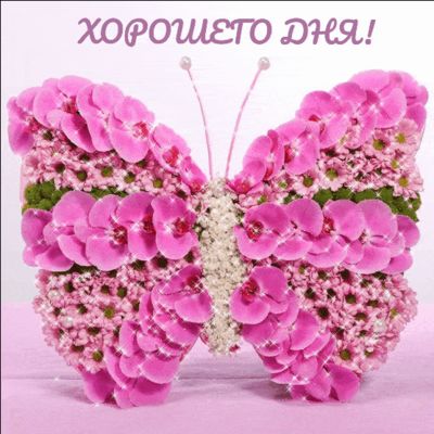 Открытка «Пожелание»: Хорошего дня! Нежная цветочная бабочка. Тэги: улыбка, женщина, красивая, позитив, радость…