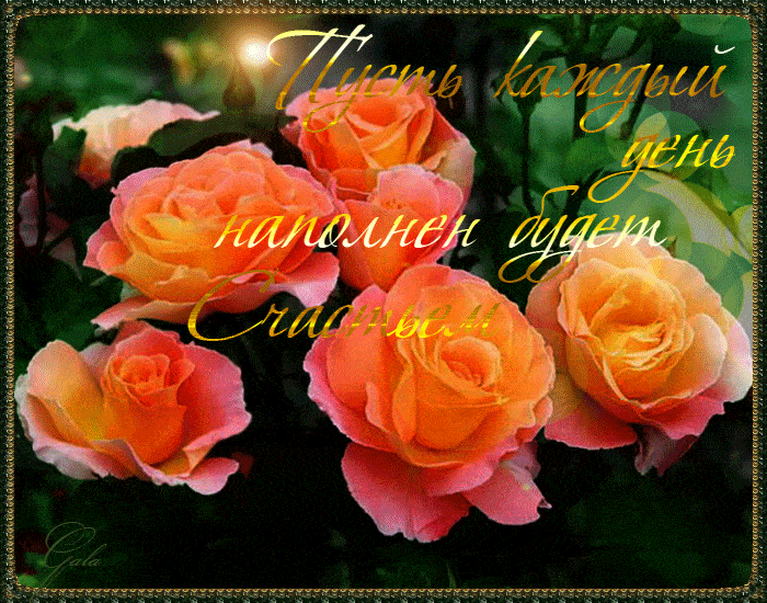 Открытка «Пожелание»: Счастье на каждый день! Позитивное пожелание. Тэги: красивая, позитив, радость, цветок, настрое…