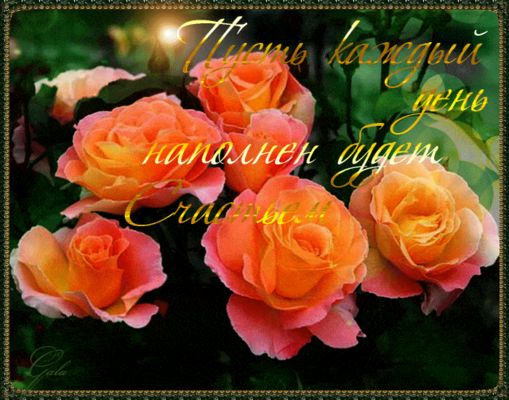 Открытка «Пожелание»: Счастье на каждый день! Позитивное пожелание. Тэги: красивая, позитив, радость, цветок, настрое…