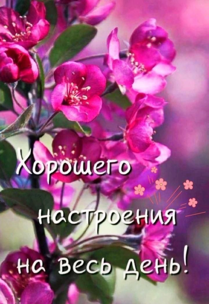 Открытка «Пожелание»: Яркая открытка: Хорошего настроения на весь день!. Тэги: улыбка, женщина, красивая, позитив…