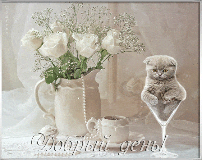Открытка «Кот»: Добрый день! Нежная открытка с милым котенком и розами. Тэги: животное, пожелание, красивая, позитив…
