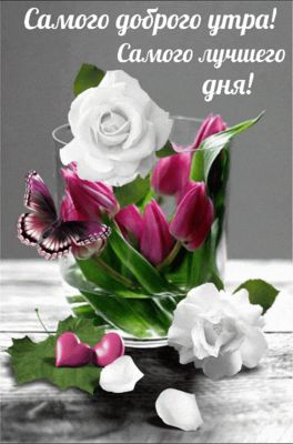 Открытка «Пожелание»: Красивая открытка: Доброе утро и лучшего дня!. Тэги: друг, подруга, красивая, позитив, сердце…