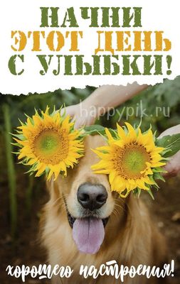 Открытка «Животное»: Начни день с улыбки! Позитивное настроение обеспечено. Тэги: пожелание, юмор, прикольная, смешная…