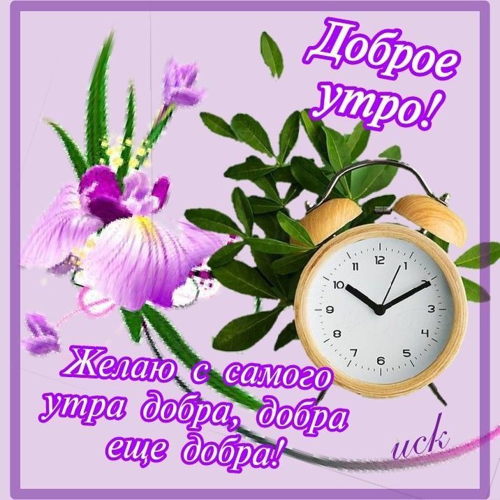 Открытка «Пожелание»: Доброе утро! Нежная открытка с пожеланием добра. Тэги: утро, красивая, позитив, радость, цветок…