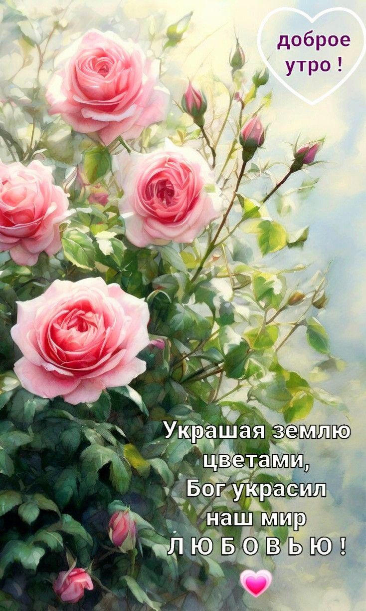 Открытка «Пожелание»: Доброе утро: красивые розы и Божья любовь. Тэги: утро, позитив, сердце, цветок, настроение…