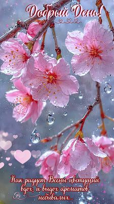 Открытка «Пожелание»: Добрый День! Весенняя нежность и красота цветов. Тэги: улыбка, женщина, девушка, красивая…