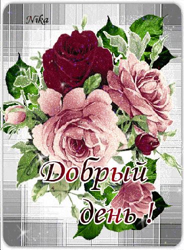 Открытка «Пожелание»: Добрый день! Нежный букет роз для хорошего настроения. Тэги: подруга, женщина, красивая, позитив…