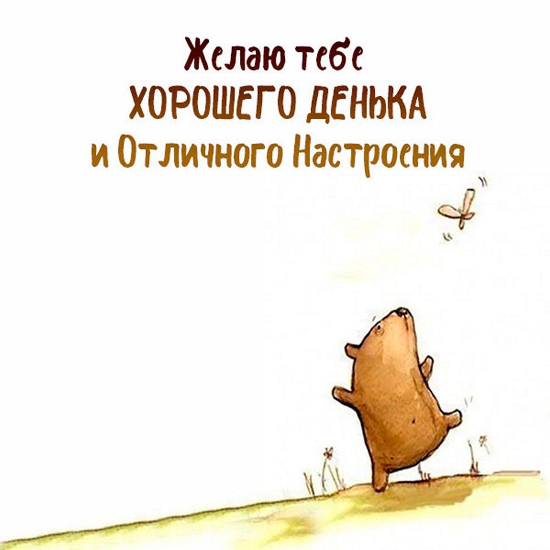 Открытка «Животное»: Хорошего денька и отличного настроения!. Тэги: пожелание, прикольная, улыбка, утро, друг, подруга…