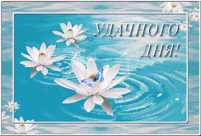 Открытка «Пожелание»: Удачного Дня! Красивая открытка с цветком. Тэги: утро, позитив, радость, цветок, нежность…