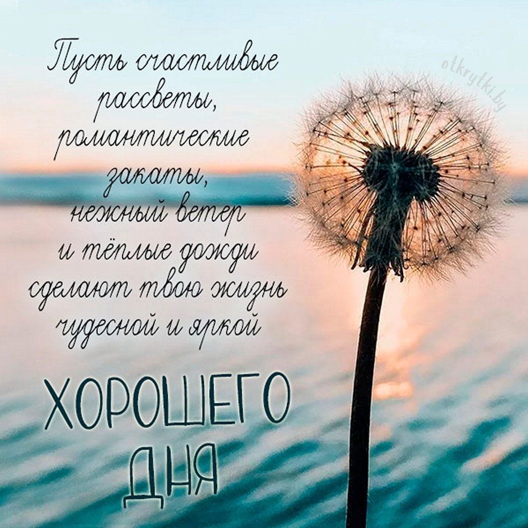 Открытка «Пожелание»: Хорошего дня! Нежное пожелание счастья и позитива. Тэги: хорошего дня, красивая, позитив…