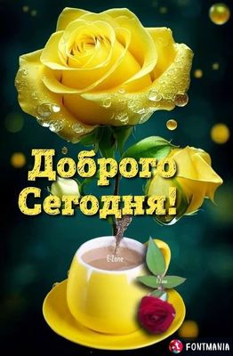 Открытка «Пожелание»: Доброго Сегодня! Красивая роза и чашка кофе. Тэги: утро, красивая, кофе, позитив, цветок, чашка…