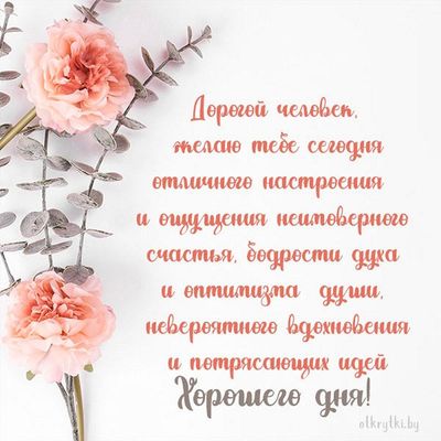 Открытка «Пожелание»: Отличного настроения и счастья! Хорошего дня!. Тэги: улыбка, друг, подруга, красивая, позитив…