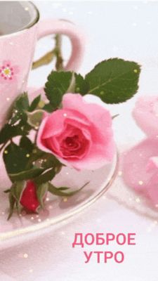 Открытка «Пожелание»: Доброе утро: нежная роза для прекрасного дня. Тэги: утро, женщина, красивая, позитив, цветок…