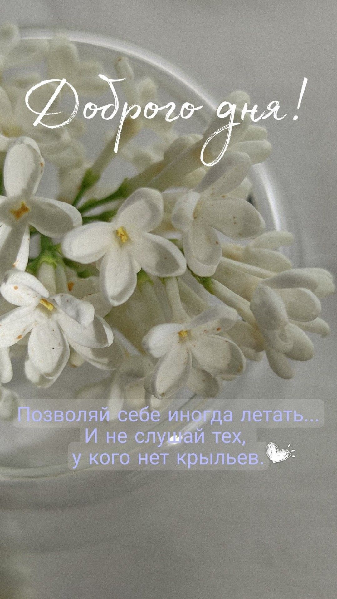 Открытка «Пожелание»: Доброго дня! Нежная открытка с вдохновляющим пожеланием. Тэги: улыбка, девушка, красивая…