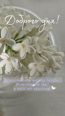 Открытка «Пожелание»: Доброго дня! Нежная открытка с вдохновляющим пожеланием. Тэги: улыбка, девушка, красивая…