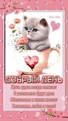 Открытка «Добрый день»: Добрый день с милым котенком в чашке и теплым пожеланием. Тэги: Добрый день и добрые пожелания…